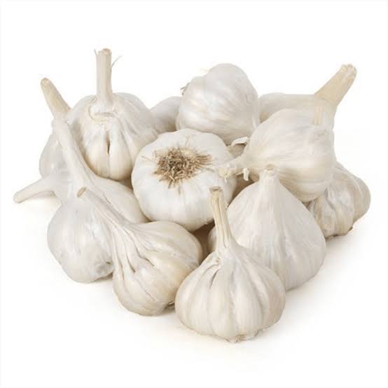 Egyptian White Garlic