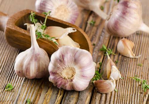 Rocambole Garlic